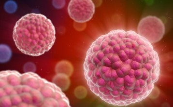 Fighting Antimicrobial Resistance