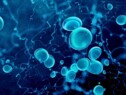 dry hematology with vef-based technology