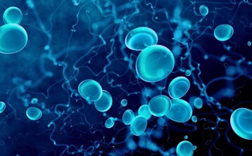 dry hematology with vef-based technology